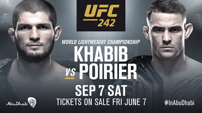 khabib poirier ufc 242