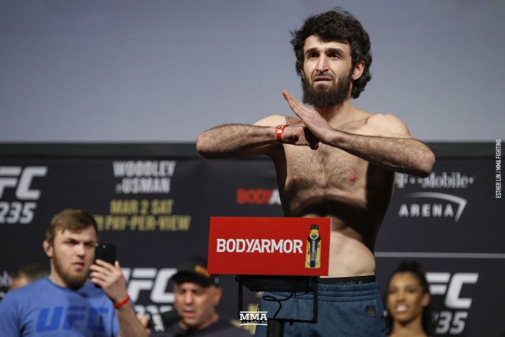 Zabit