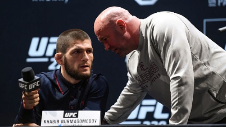 khabib dana white