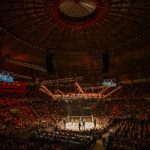 UFC Brazylia arena