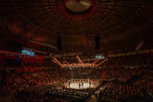 UFC Brazylia arena