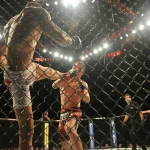 UFC MMA