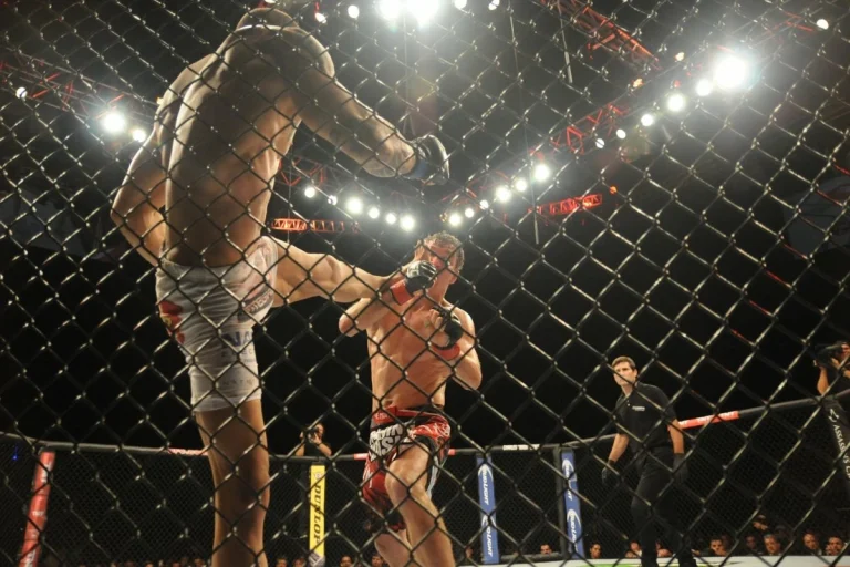 UFC MMA