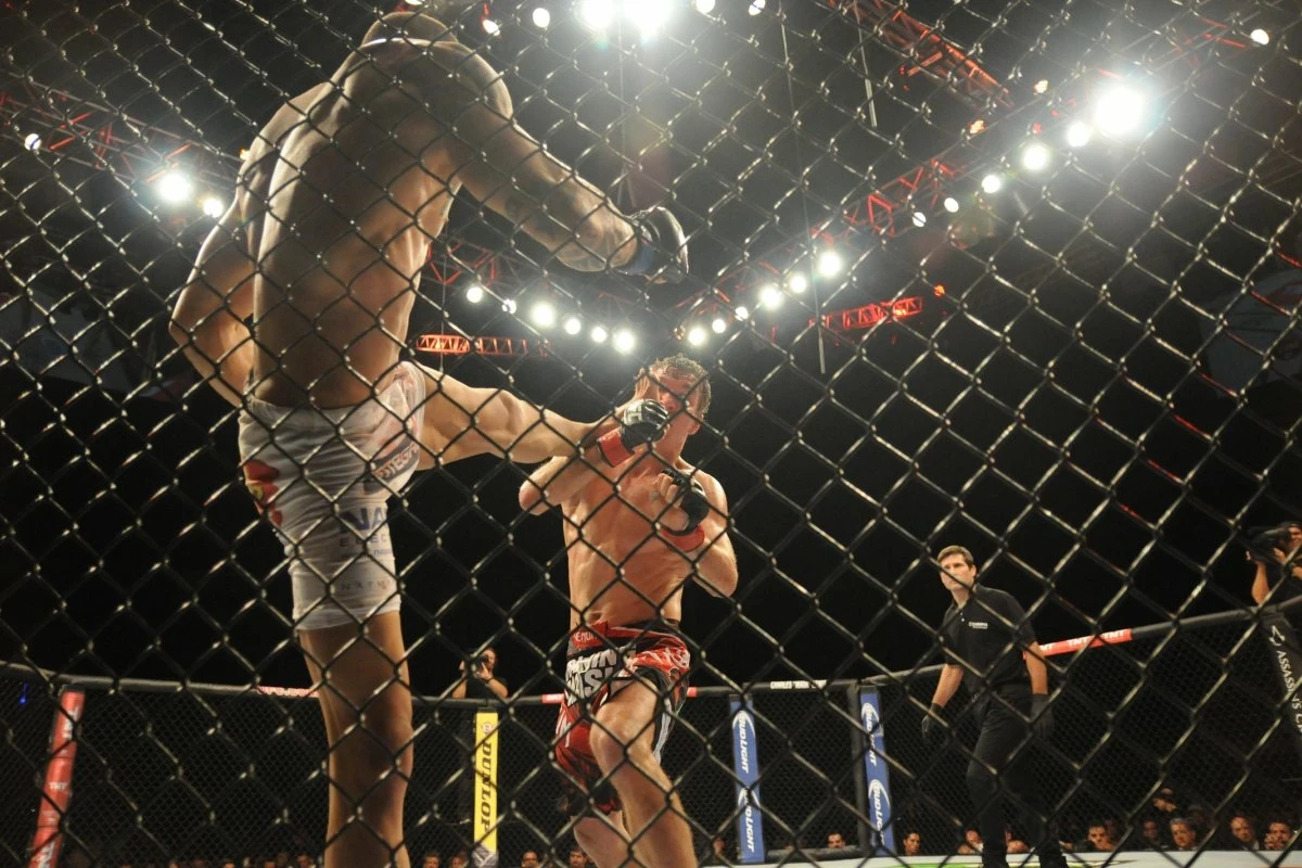 UFC MMA
