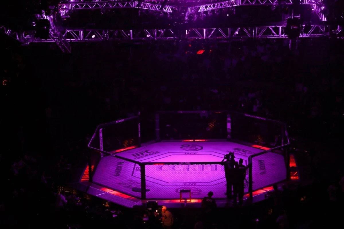 UFC - klatka 3 trybuny